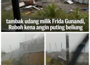 Dinding Tambak Udang Frida Gunadi Roboh Diterpa Angin, Di Tengah Sengketa dengan Surya Dharma