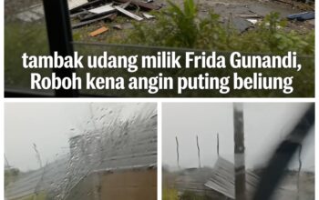 Dinding Tambak Udang Frida Gunadi Roboh Diterpa Angin, Di Tengah Sengketa dengan Surya Dharma