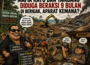 9 Bulan Hutan Lindung Berigak Dibabat, Oknum Kadus Diduga Tutup Mata
