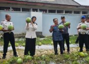 Khasiat Kompos Lapas Pangkalpinang Teruji, Hasilkan Panen 231 Kg Semangka